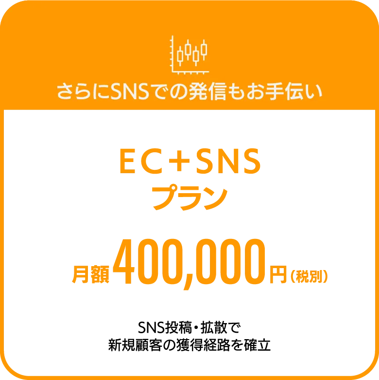 さらにSNSでの発信もお手伝い　EC+SNSプラン　月額400,000円（税別）
