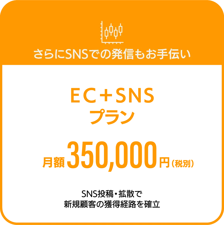 さらにSNSでの発信もお手伝い　EC+SNSプラン　月額350,000円（税別）